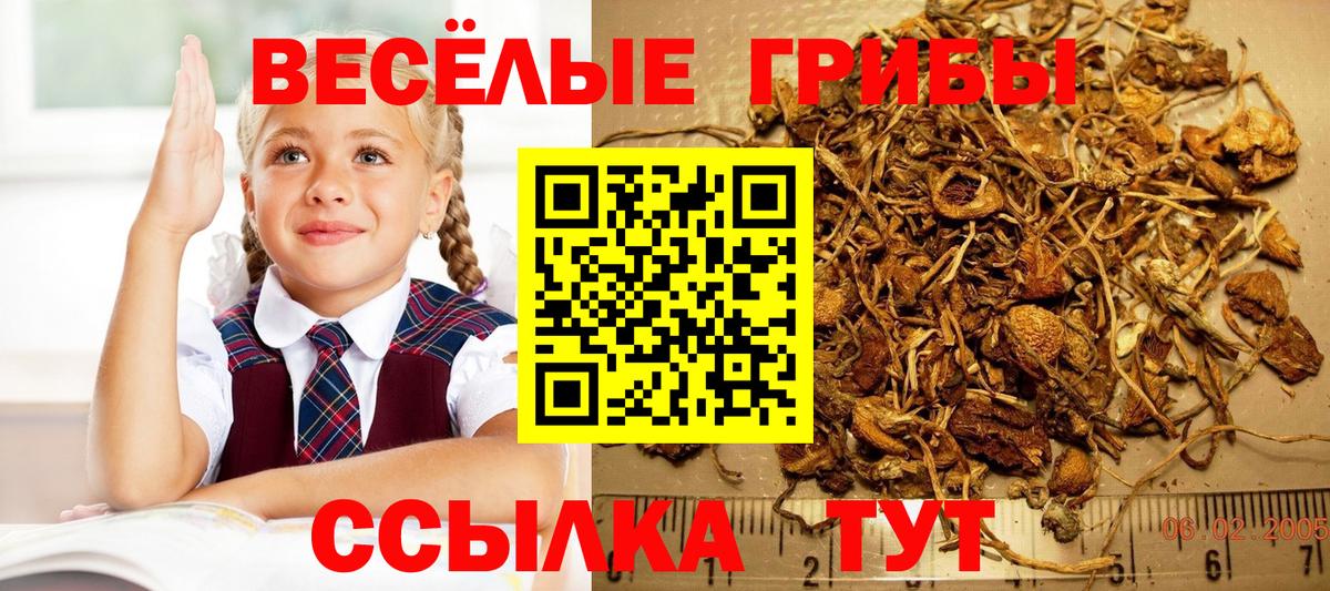 Псилоцибиновые грибы прущие грибы  Вход с VPN  Москва  Галлюциногенные грибы Magic Shrooms 