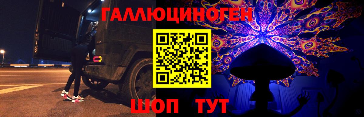 Псилоцибиновые грибы Psilocybe Москва